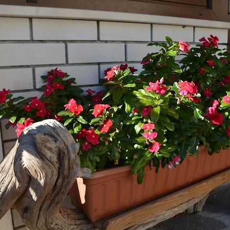 Apartma Zala Most Na Soci Bagian luar foto