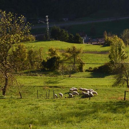Apartma Zala Most Na Soci Bagian luar foto