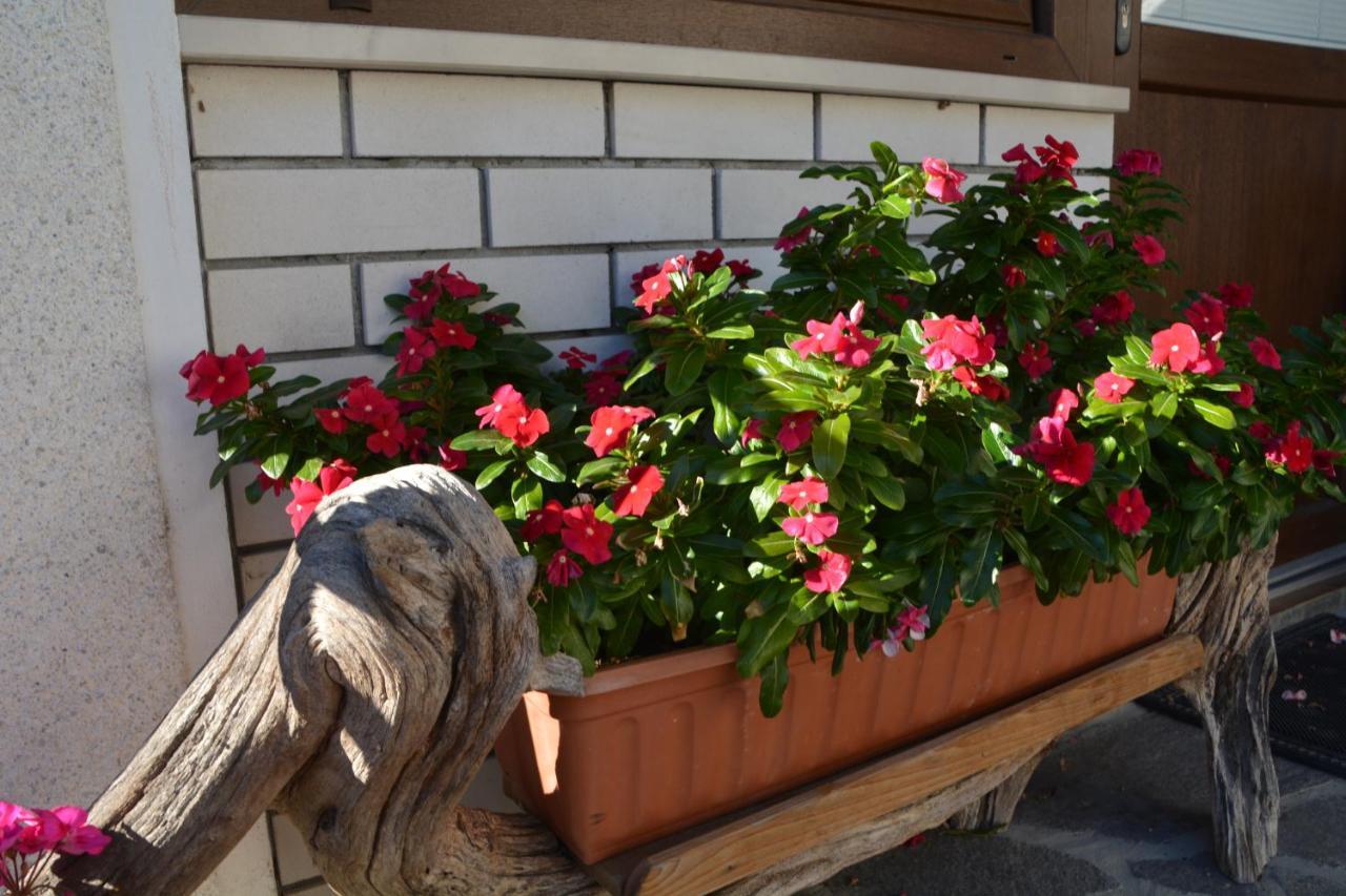 Apartma Zala Most Na Soci Bagian luar foto