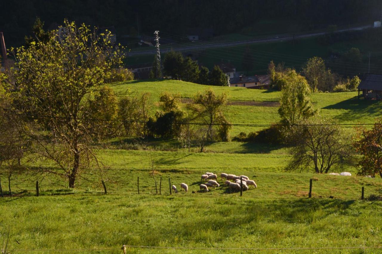 Apartma Zala Most Na Soci Bagian luar foto