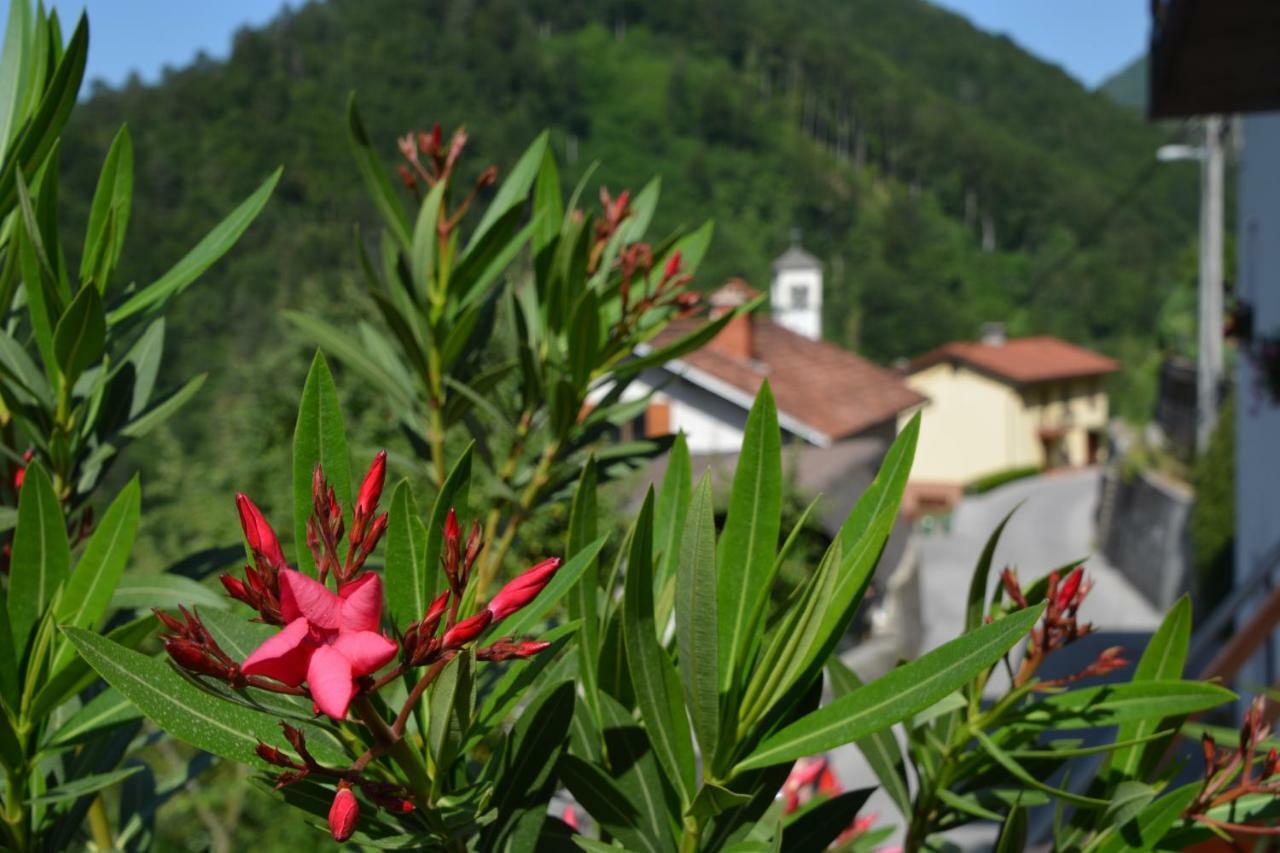 Apartma Zala Most Na Soci Bagian luar foto