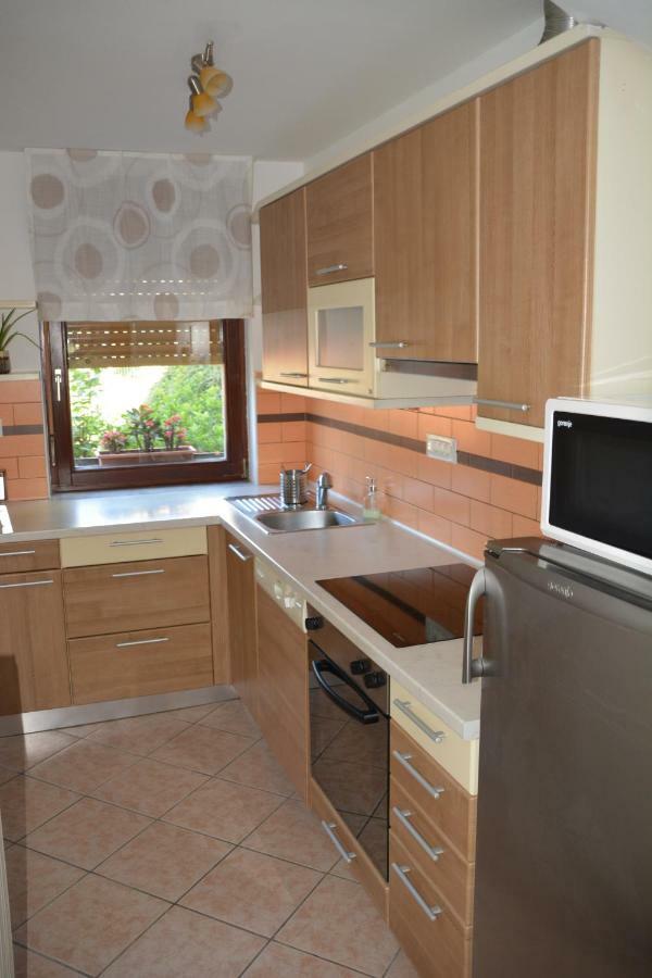 Apartma Zala Most Na Soci Bagian luar foto
