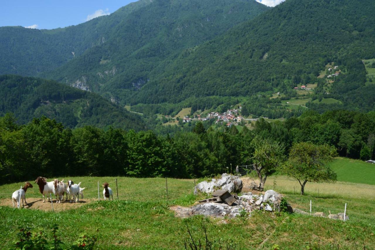 Apartma Zala Most Na Soci Bagian luar foto